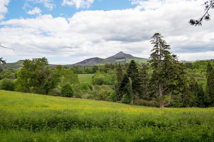 County Wicklow Ireland Landscape with Mountains and Forests