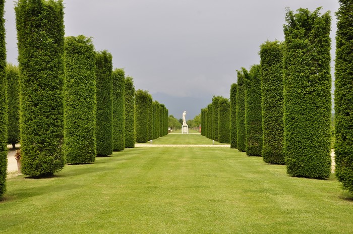 Palace of Venaria Gardens Avenue with Statue