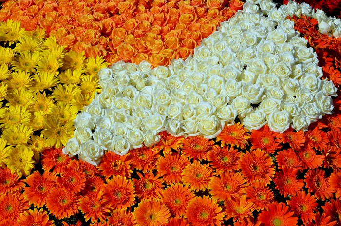 Flower arrangement of roses and gerberas