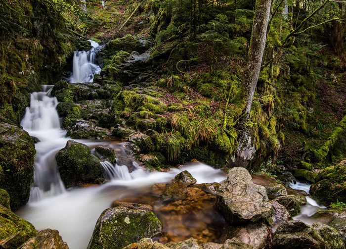Mossy rocks and waterfalls in a forest stream