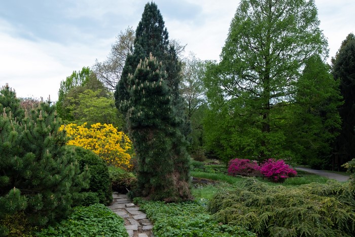 Botanischer Garten Solingen, Germany: Trees and Shrubs