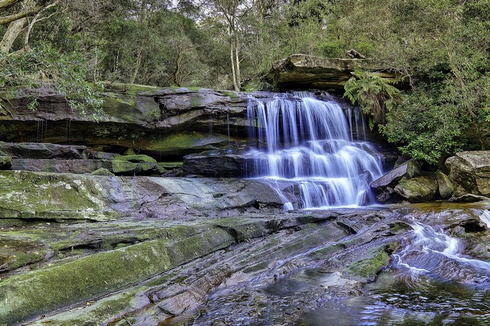 Waterfall cascading over mossy rocks in a forest