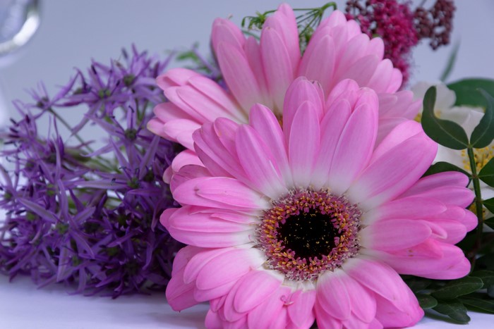 Pink Gerbera Daisies and Purple Alliums