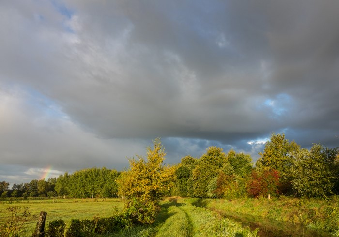 Rainbow over a field with trees in Houwaart, Belgium