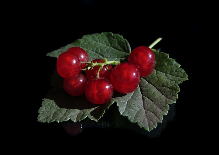 Red currants on a green leaf with black background