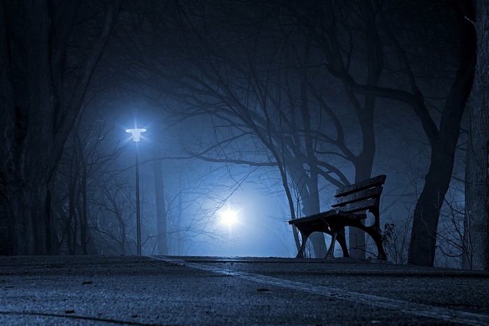 Misty Night in a Quiet Park with Bench and Street Lights