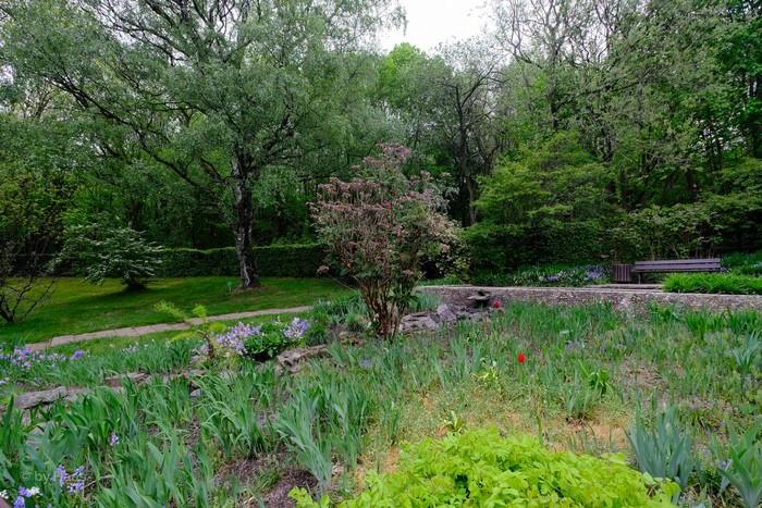 Botanischer Garten Solingen Germany park with trees and shrubs