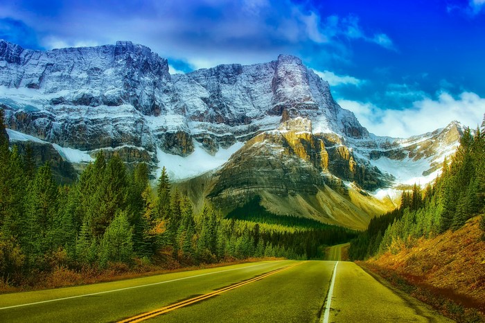 Road leading to snow-capped mountains and pine forests
