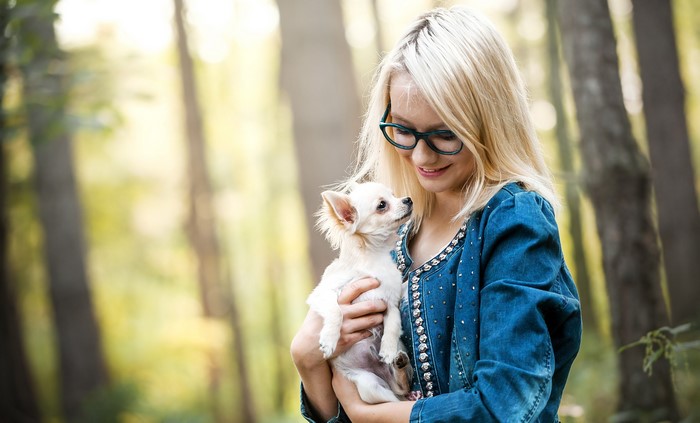 Blonde girl holding a Chihuahua dog