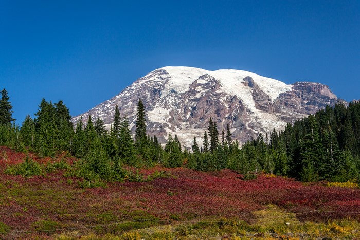 Mount Rainier National Park, Washington, USA