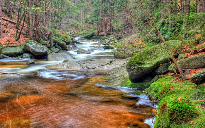 4K Scenic View of Mumlava River in Giant Mountains