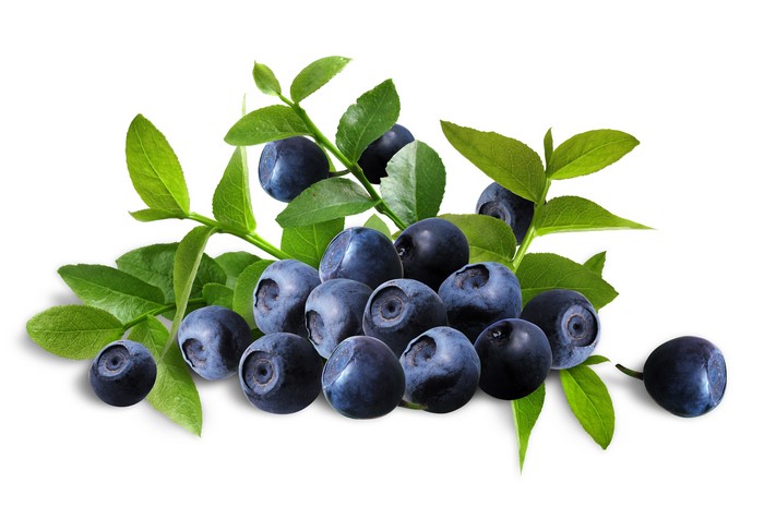 Blueberries with leaves on white background