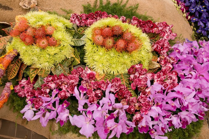 Floral arrangement with orchids and roses