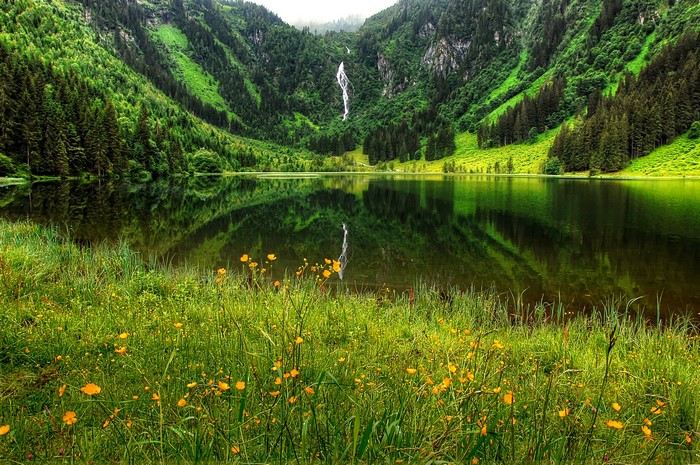 Mountain lake with waterfall and wildflowers