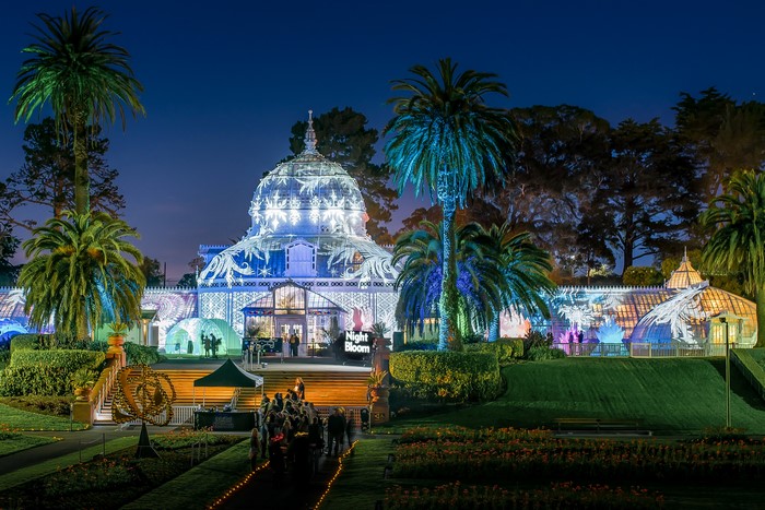 Night Bloom event at the Conservatory of Flowers, Golden Gate Park, San Francisco