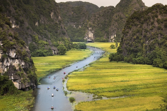 River and Rice Fields in Ninh Binh Province, Vietnam
