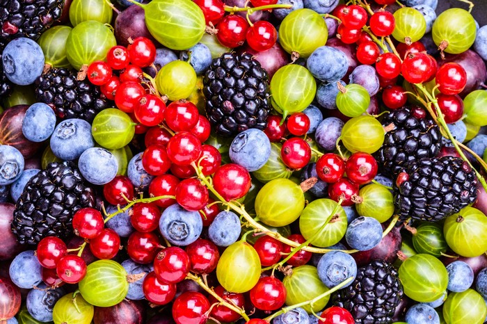 Assortment of Fresh Berries: Blackberries, Blueberries, Gooseberries, and Red Currants
