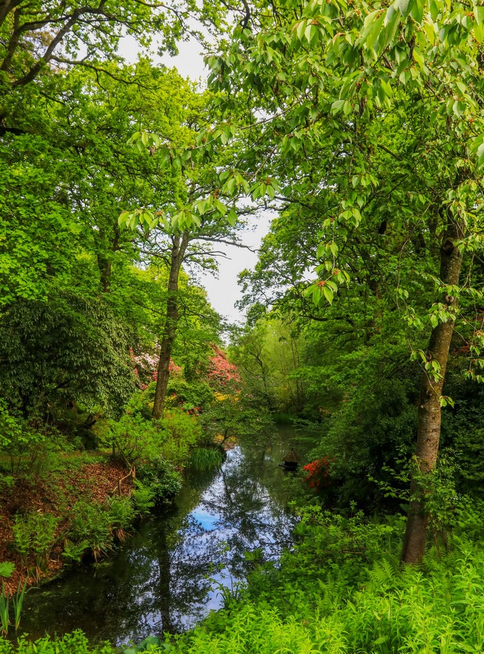 Ramster Gardens Surrey England river and trees