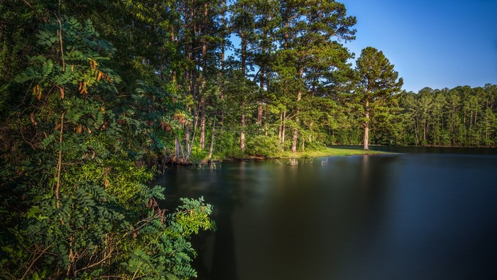 West Point Lake Georgia USA with Forests and Trees