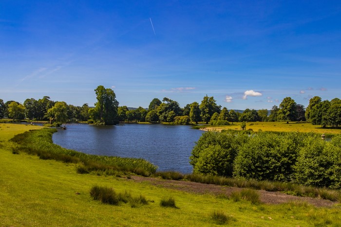 Petworth Park pond with trees and grass