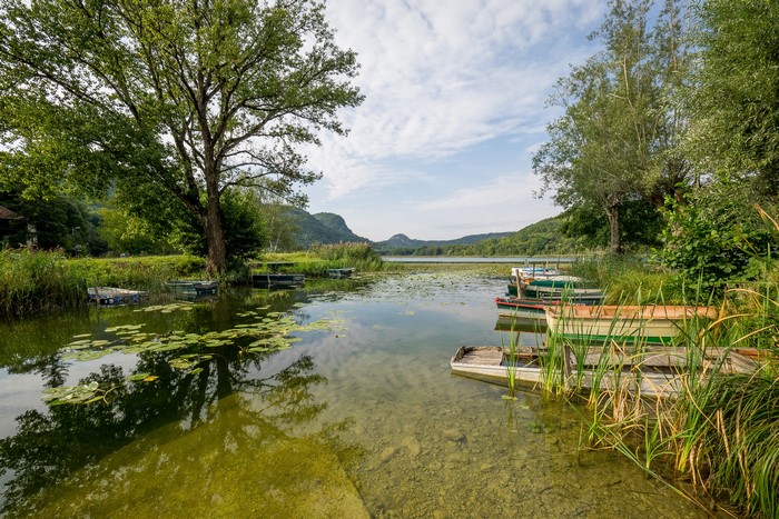 Boats docked on a clear lake with lily pads and trees