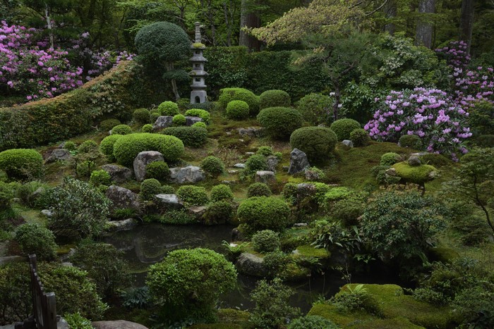 4K Japanese Garden with Rhododendrons and Pagoda