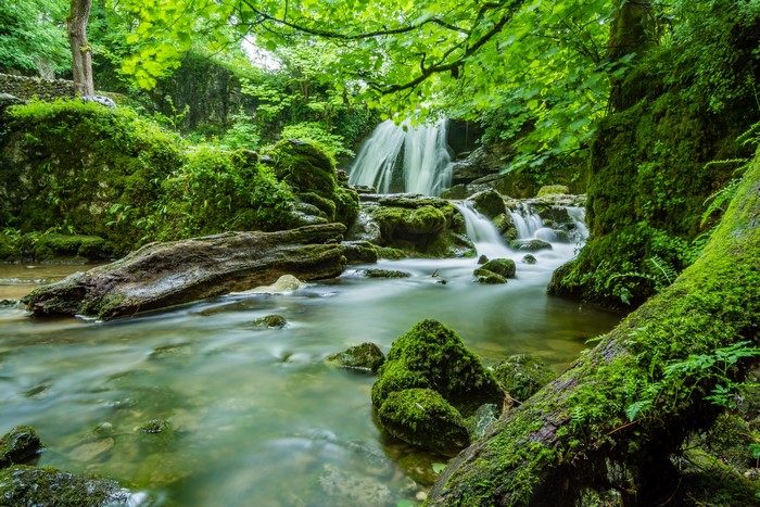 Waterfall in Mossy Yorkshire Forest, England