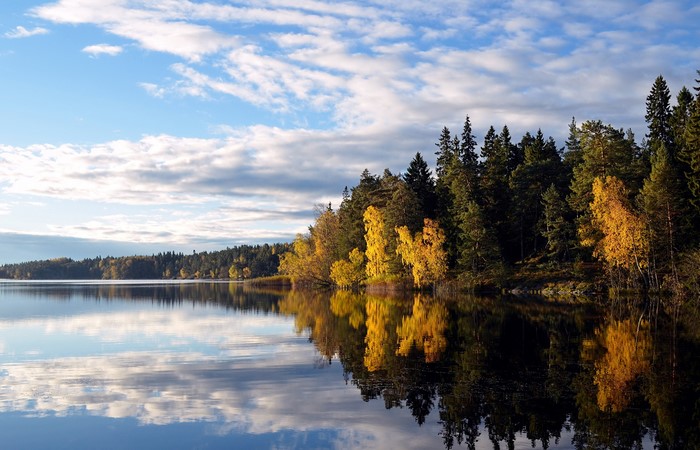 Autumn forest reflected in Flaten lake, Sweden