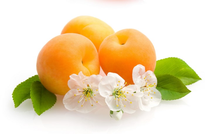 Three apricots with white flowers and green leaves