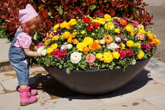 4K Grugapark Essen Girl with Colorful Ranunculus Flowers