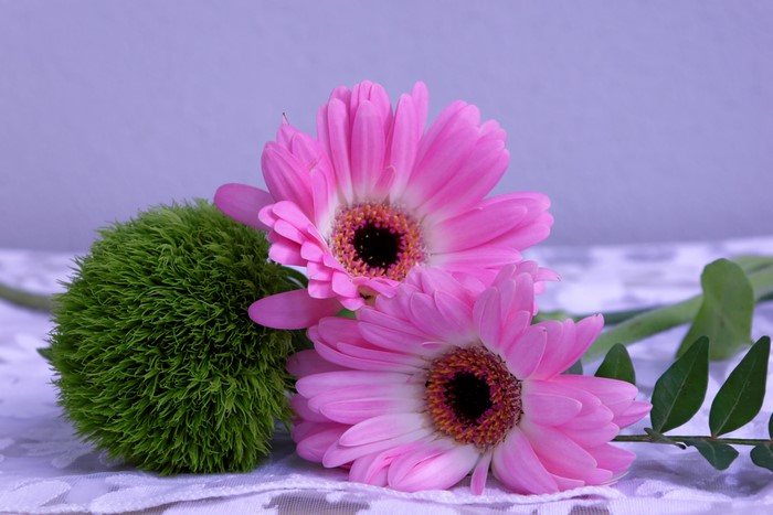 Two Pink Gerberas and Green Flower