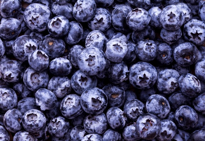 4K Blueberries Texture Berry Closeup