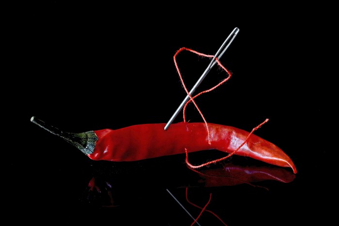 Red chili pepper with needle and thread on black background