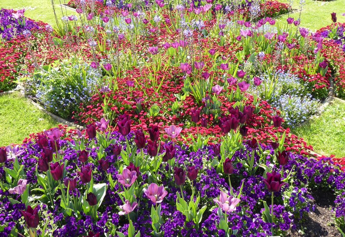 Flower bed with tulips and other flowers at Wrest Park
