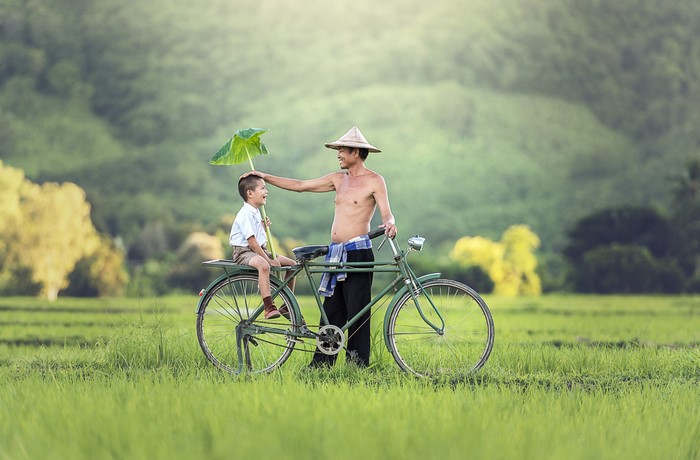 Father and son with leaf umbrella on a bicycle in a field