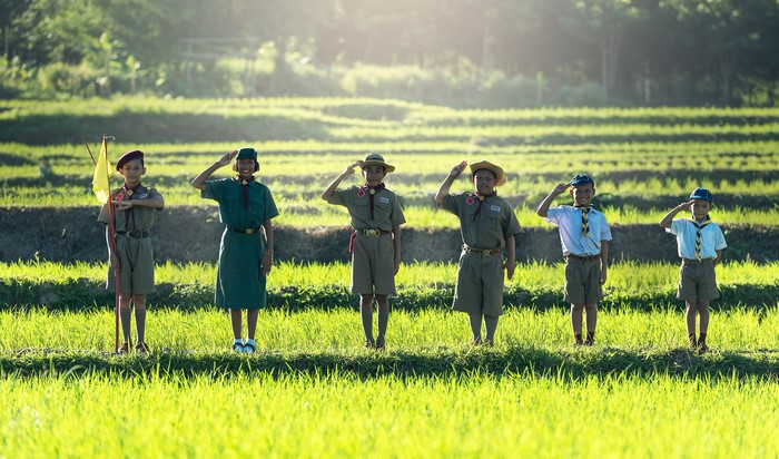 Scouts in Uniform Saluting in a Field