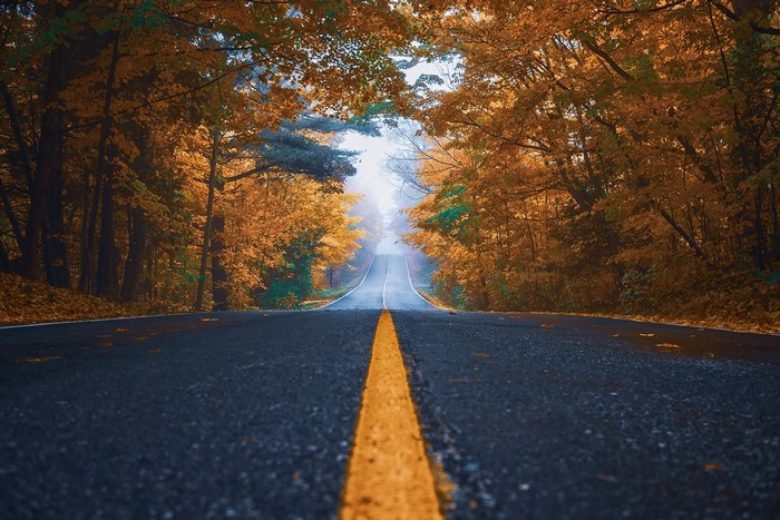Road through autumn forest