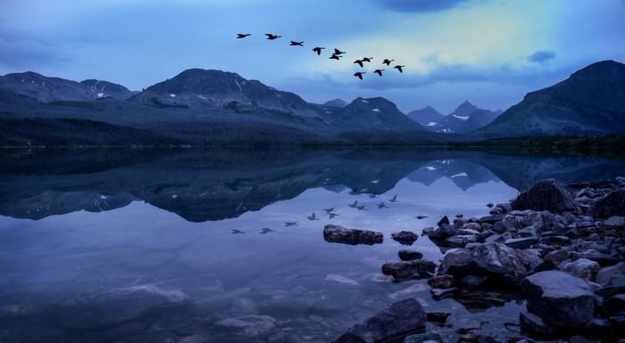 Birds flying over a lake with mountains in Glacier National Park
