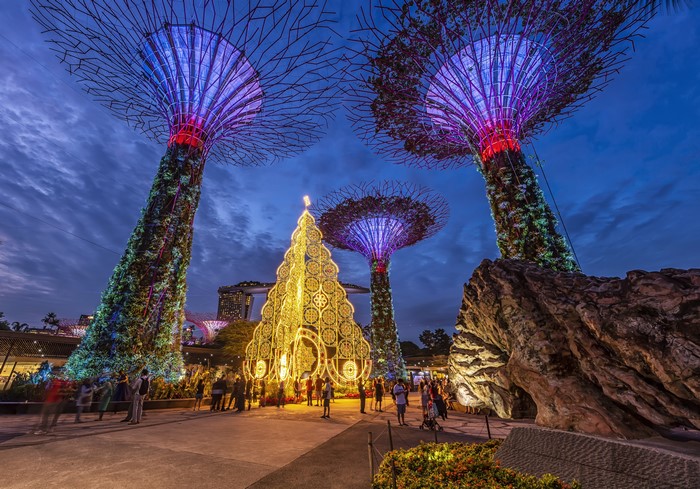 Gardens by The Bay Christmas Tree and Supertrees at Dusk