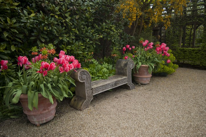 Arundel Castle Gardens with Tulips and Bench