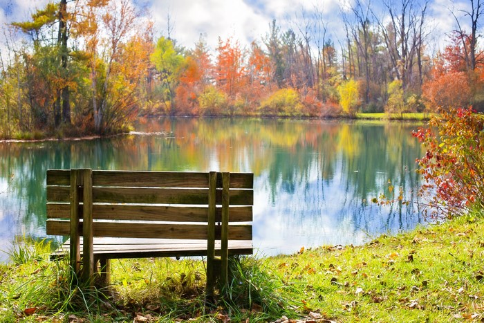 Autumn Pond with Bench