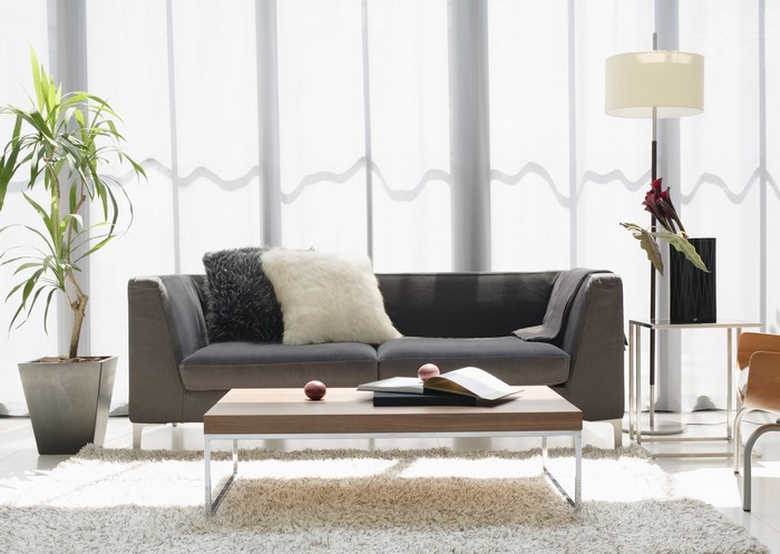 Modern living room with sofa, coffee table, and lamp