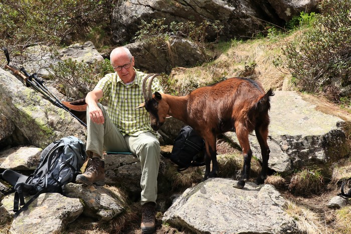 Man and Goat on Rocky Mountain Trail