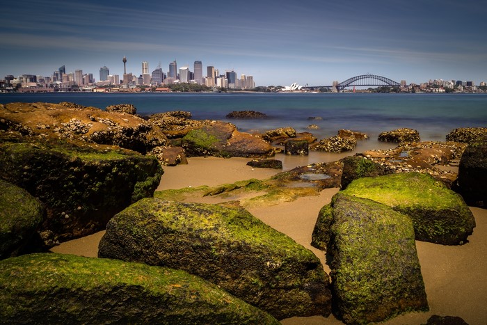 Sydney Harbour Bridge and Skyline from Rocky Shore