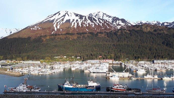 Seward Alaska Marina with Snow-Capped Mountains
