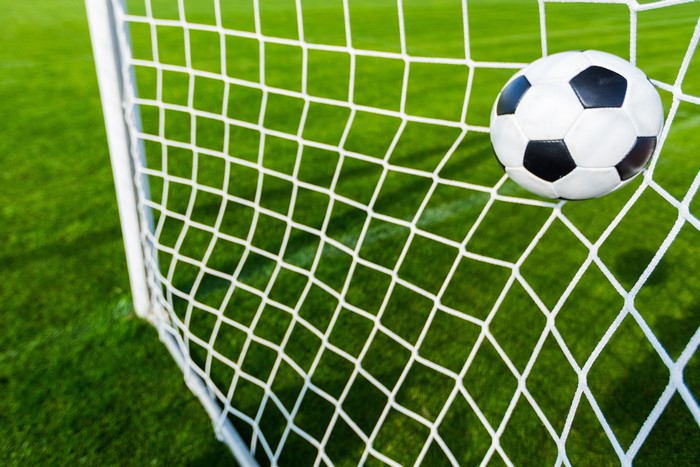 Soccer ball in a goal net