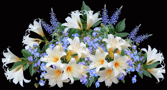 Bouquet of white lilies and blue flowers on black background
