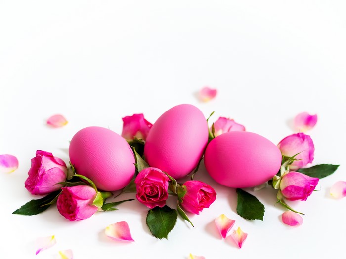 Pink Easter Eggs with Roses on White Background