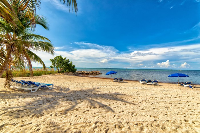 Smathers Beach Florida with Blue Sunloungers and Palms 4K
