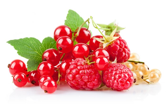 Raspberries and Currants on White Background